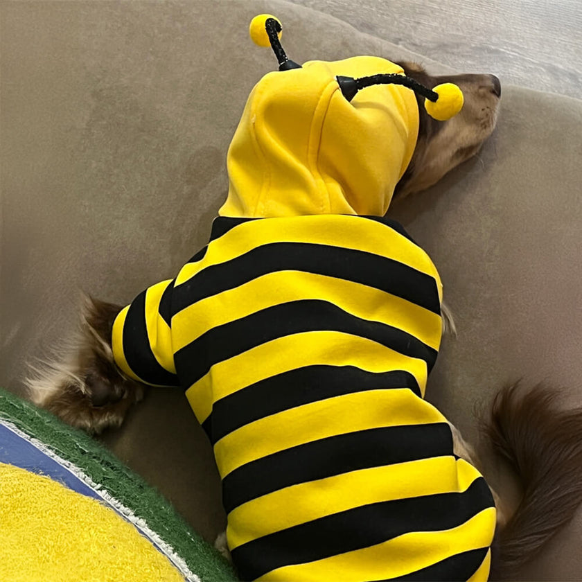 Adorable Bee Costume