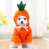 Adorable Fruit  Animal Costumes