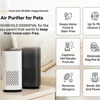 Air Purifier for Pets