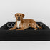 Boucle Luxury Pet Bed Spare Cover - Black