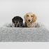 Boucle Luxury Pet Bed Spare Cover - Grey Speckle