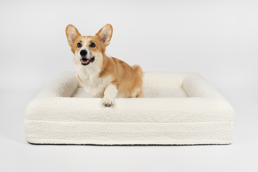 Boucle Luxury Pet Bed - Ivory