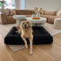 Boucle Luxury Pet Bed - Black