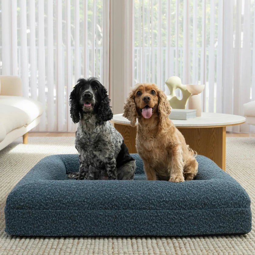 Boucle Luxury Pet Bed - Navy