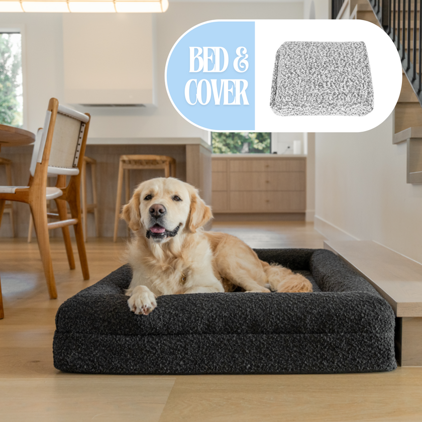 Bed + Cover Bundle