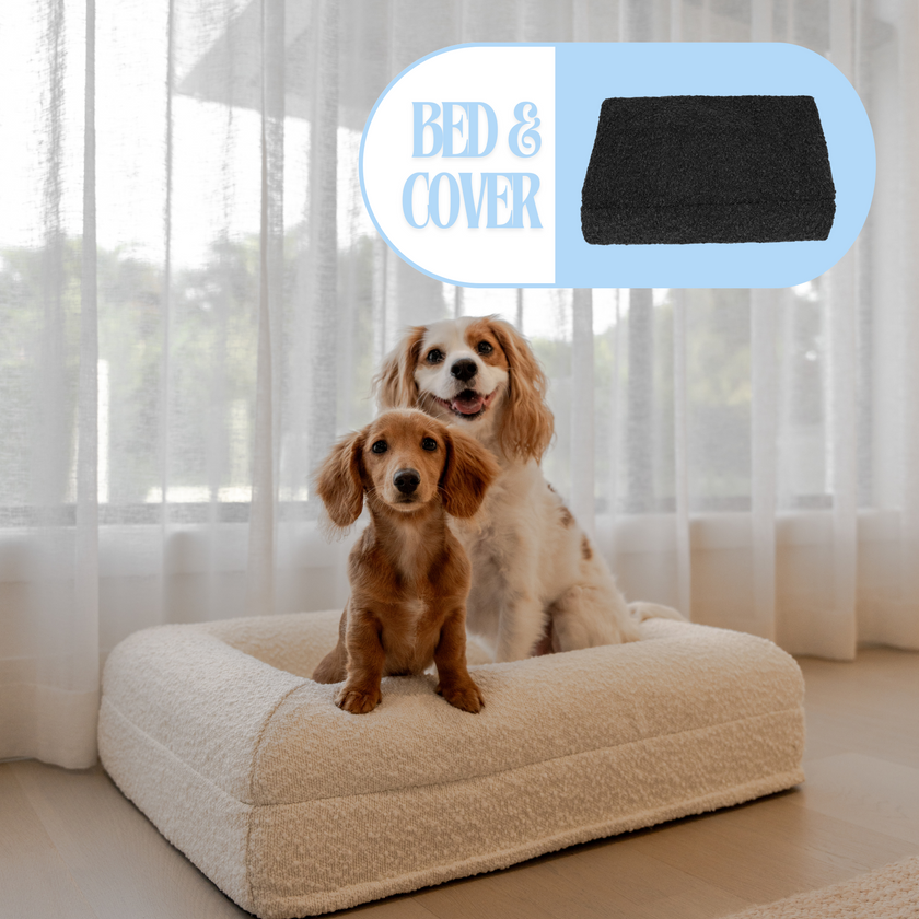 Bed + Cover Bundle