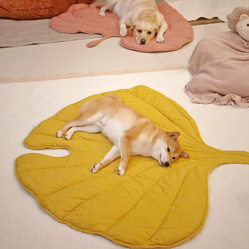 Eco-Chic Leaf Dog Blanket