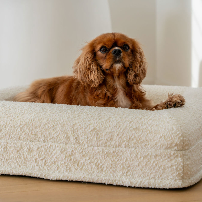 Boucle Luxury Pet Bed - Ivory