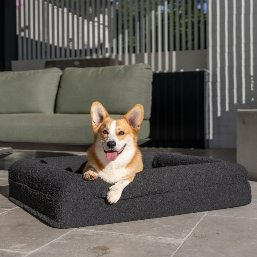 Boucle Luxury Pet Bed - Black