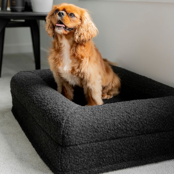 Boucle Luxury Pet Bed - Black