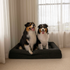 Boucle Luxury Pet Bed - Black