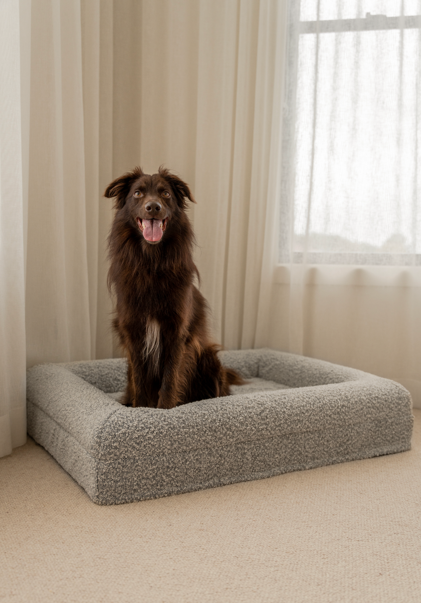 Boucle Luxury Pet Bed - Grey Speckle