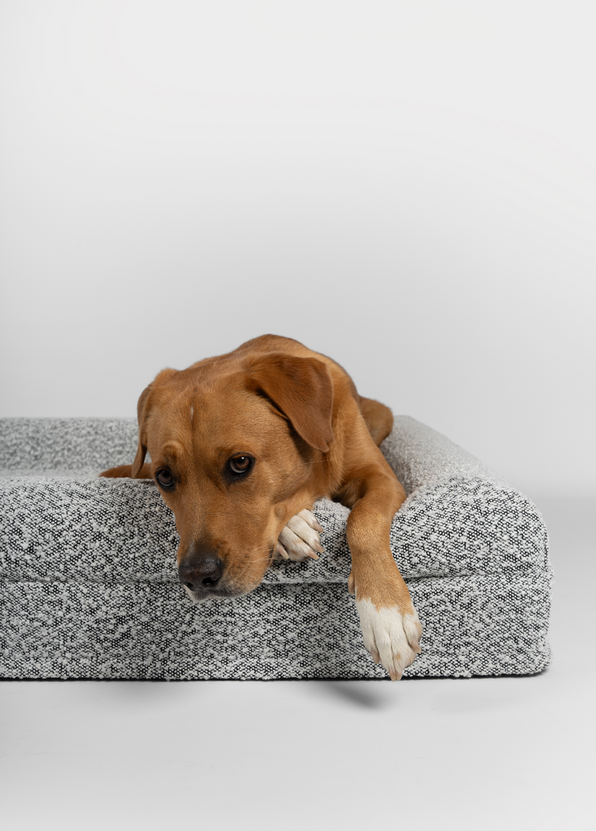 Boucle Luxury Pet Bed - Grey Speckle