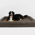Boucle Luxury Pet Bed - Brown