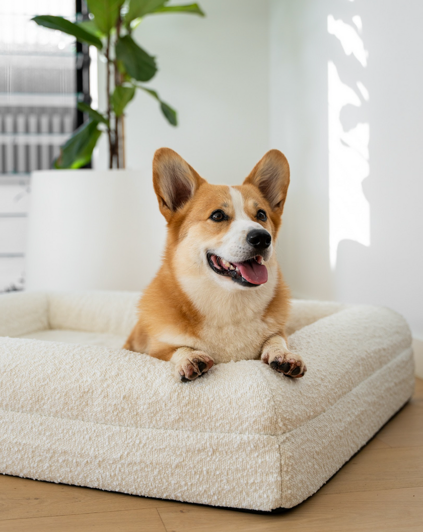 Boucle Luxury Pet Bed - Ivory