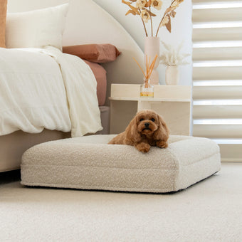 Boucle Luxury Pet Bed - Ivory