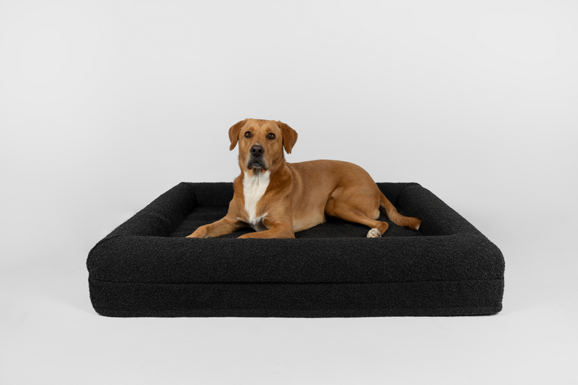 Boucle Luxury Pet Bed - Black