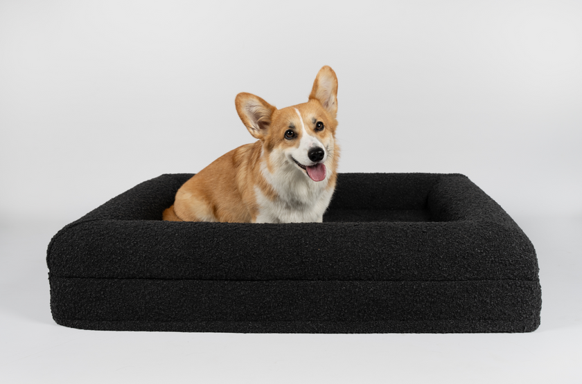 Boucle Luxury Pet Bed - Black