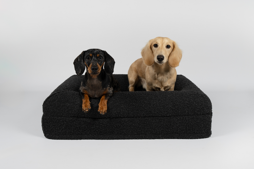 Boucle Luxury Pet Bed - Black