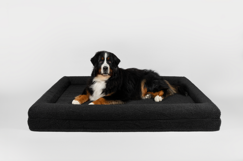 Boucle Luxury Pet Bed - Black