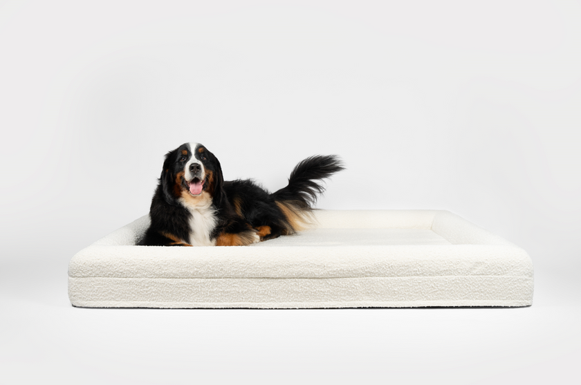 Boucle Luxury Pet Bed - Ivory