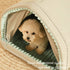 Haven Double Curtain Dog Bed