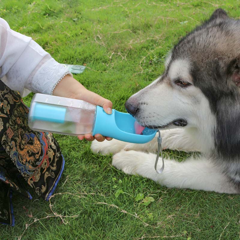 3-in-1 Dog Walking Bottle