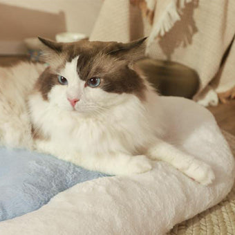 Cloud Pet Cushion