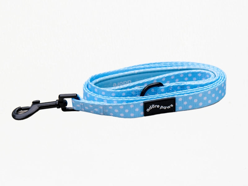 Light Blue Pet Lead