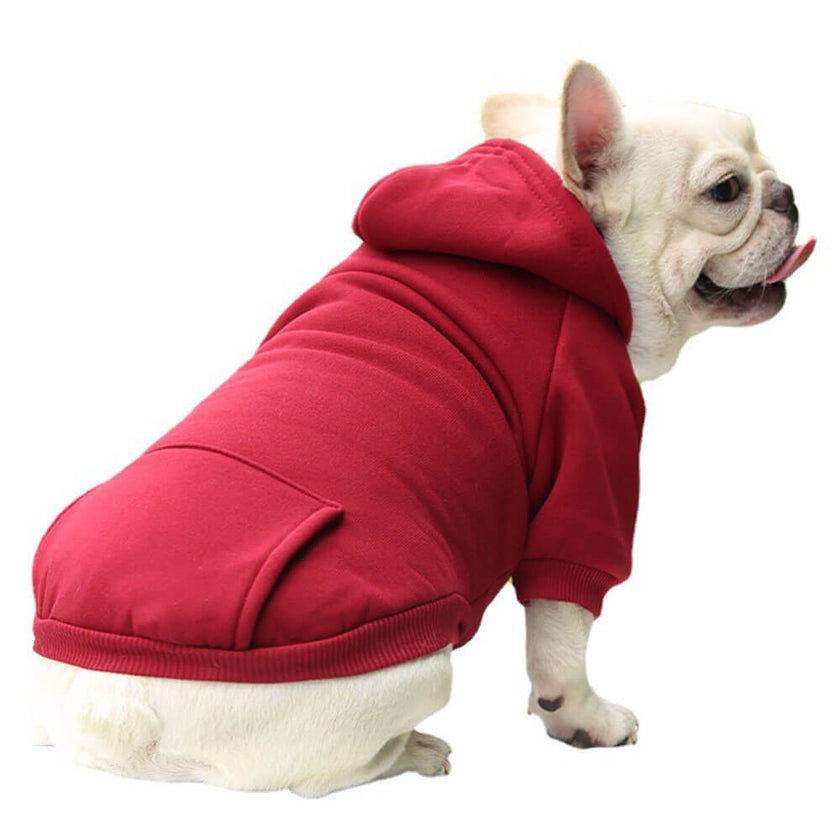 All-Weather Dog Hoodie