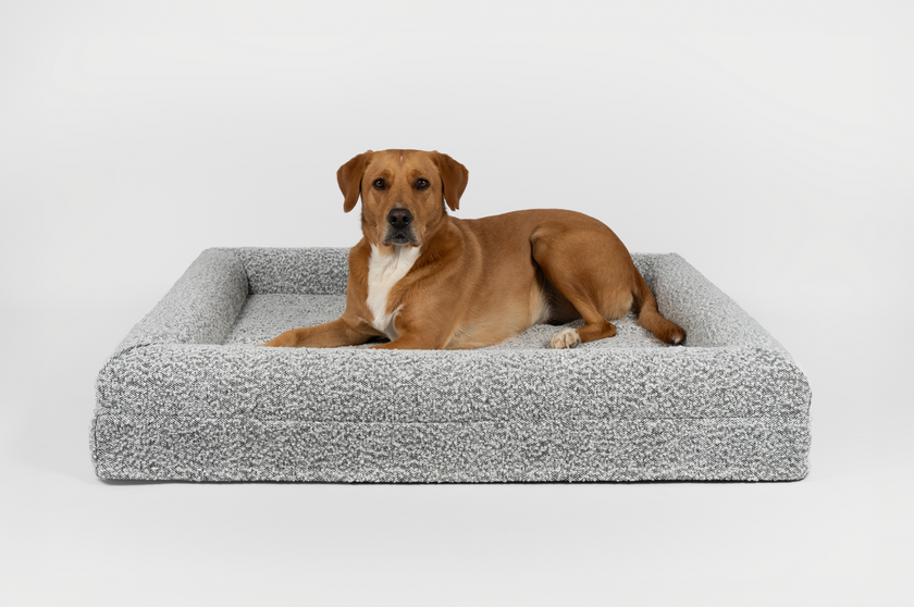 Boucle Luxury Pet Bed - Grey Speckle